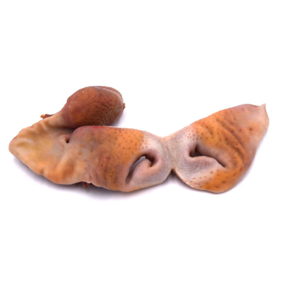 Snout